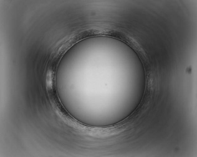 X0000116370026200912161448