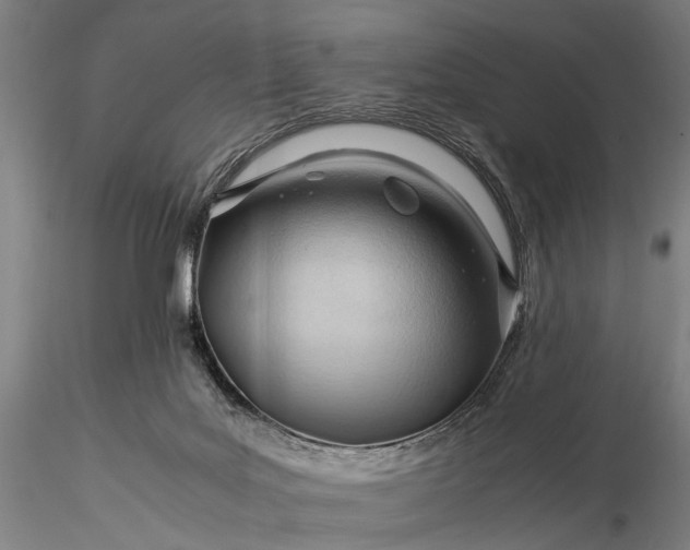 X0000116370027200912161448