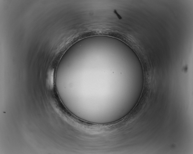 X0000116370028200912161448