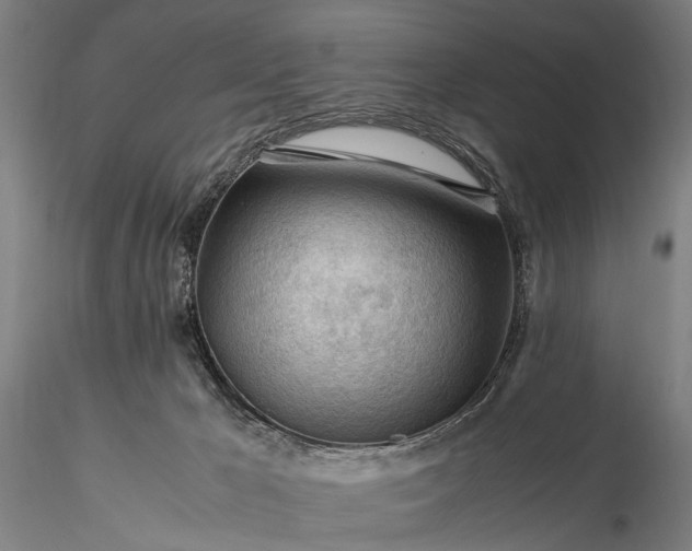 X0000116370029200912161448