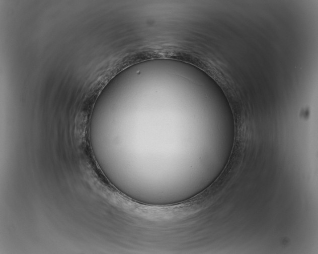 X0000116370030200912161448