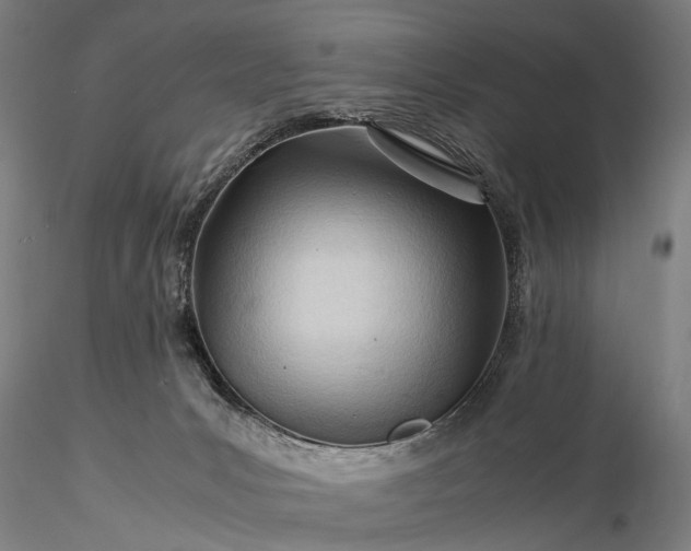 X0000116370031200912161448