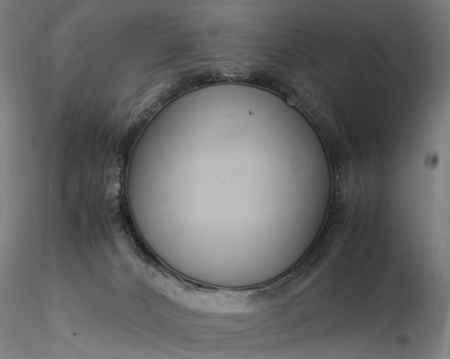 X0000116370032200912161448