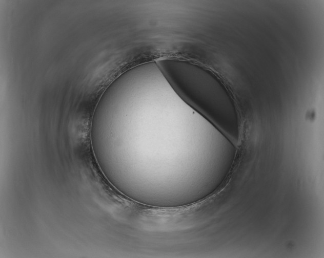 X0000116370033200912161448