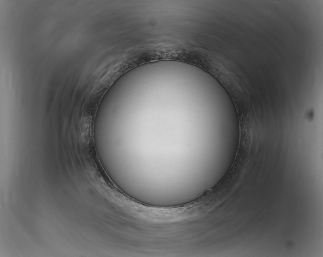 X0000116370034200912161448