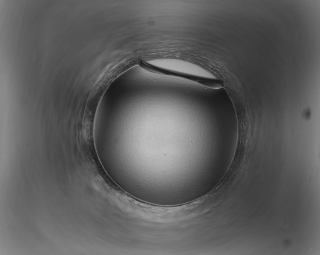 X0000116370035200912161448