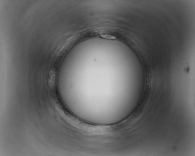 X0000116370036200912161448