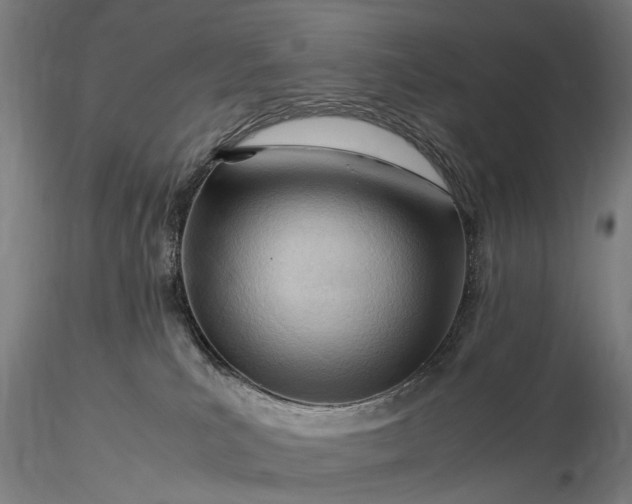 X0000116370039200912161448