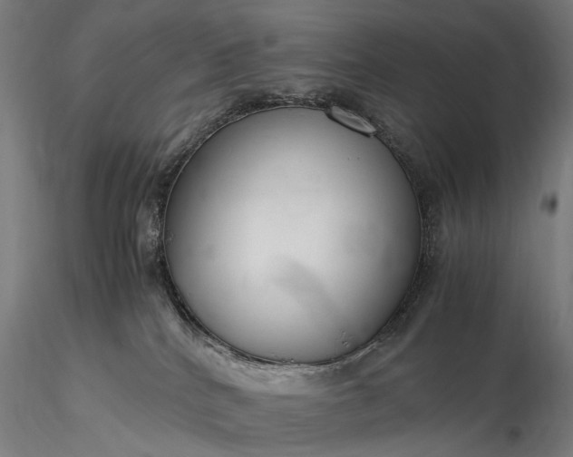 X0000116370040200912161448