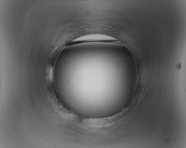 X0000116370041200912161448