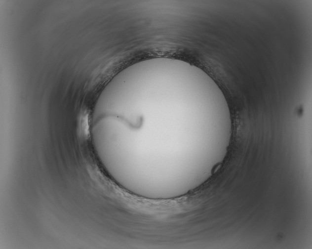 X0000116370042200912161448