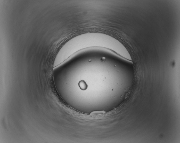 X0000116370043200912161448