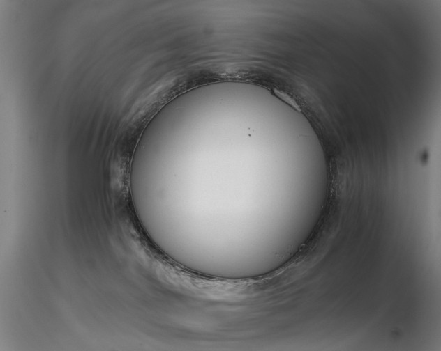 X0000116370044200912161448