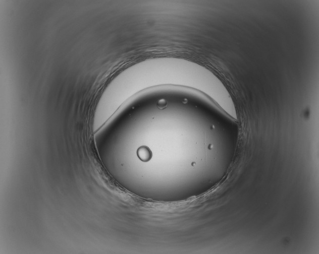 X0000116370045200912161448