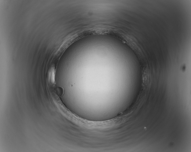 X0000116370046200912161448