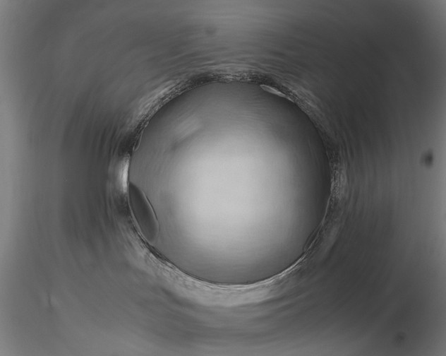 X0000116370047200912161448