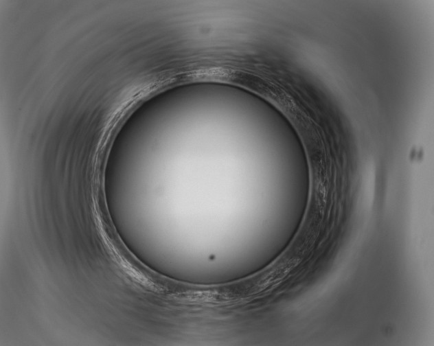 X0000116370049200912161447