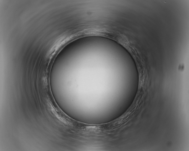 X0000116370050200912161447