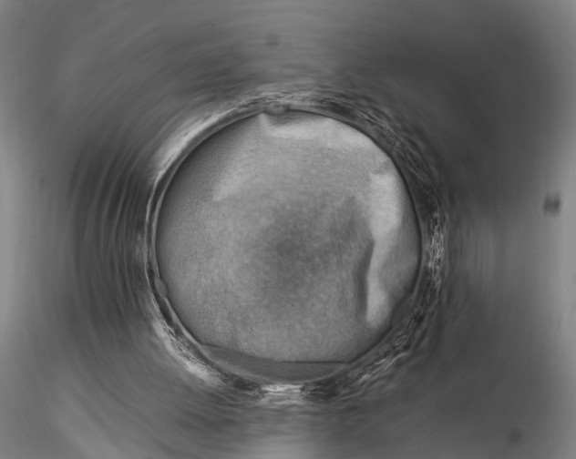 X0000116370052200912161447