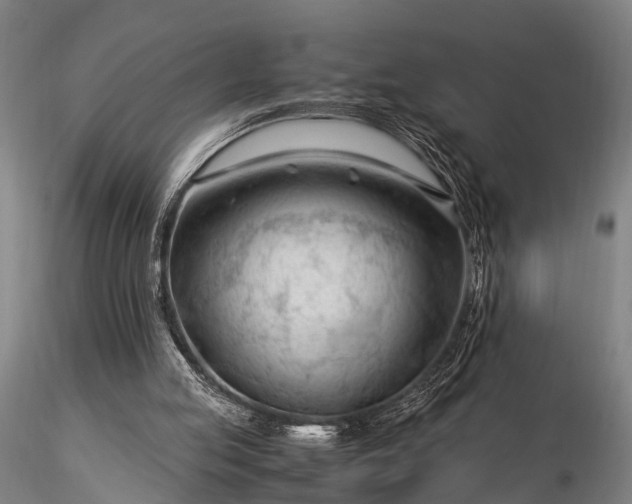 X0000116370053200912161447