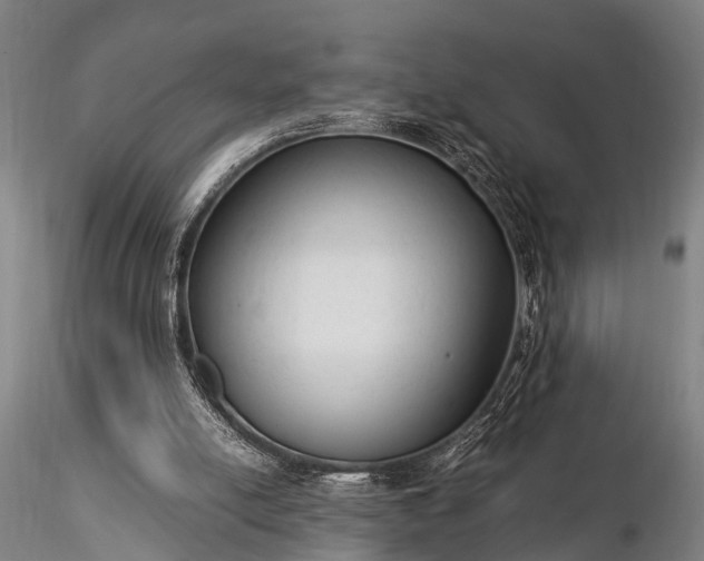 X0000116370054200912161447