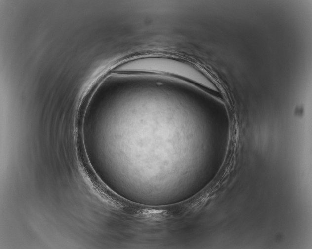 X0000116370055200912161447