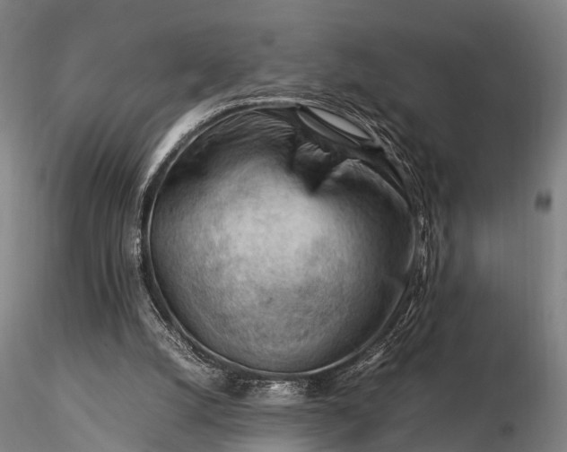 X0000116370056200912161447