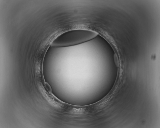 X0000116370057200912161447