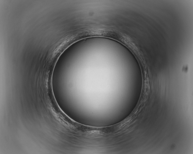 X0000116370058200912161447