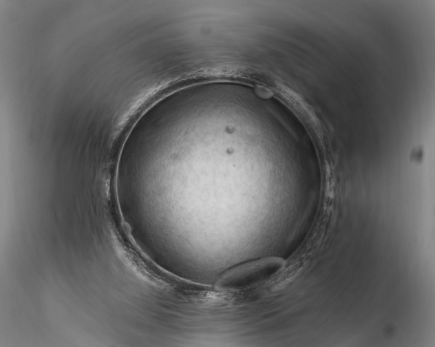 X0000116370060200912161447