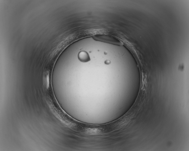 X0000116370061200912161447