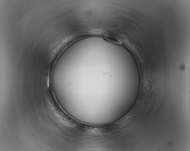 X0000116370062200912161447