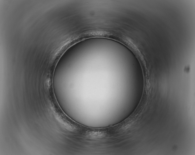 X0000116370063200912161447