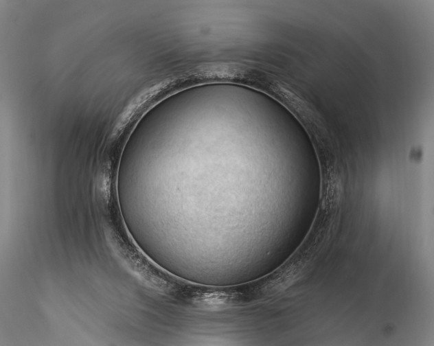 X0000116370064200912161447