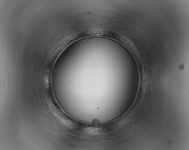 X0000116370065200912161447