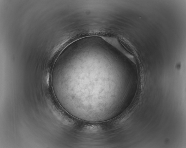 X0000116370067200912161447