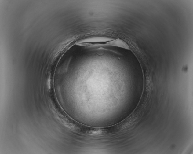 X0000116370068200912161447