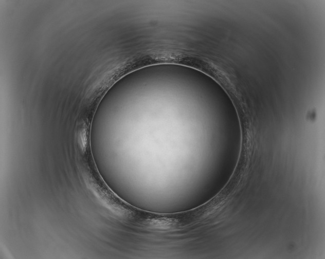 X0000116370069200912161447