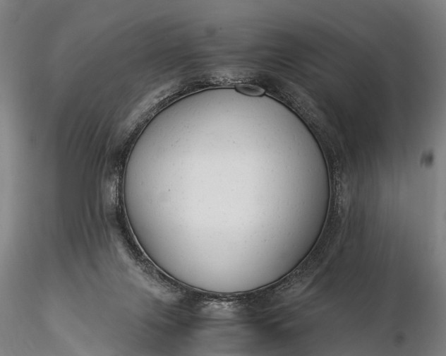 X0000116370071200912161447