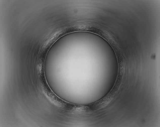 X0000116370072200912161447