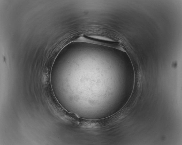 X0000116370073200912161447