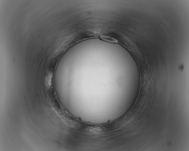 X0000116370075200912161447