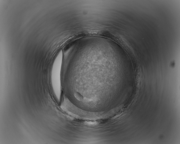 X0000116370076200912161447