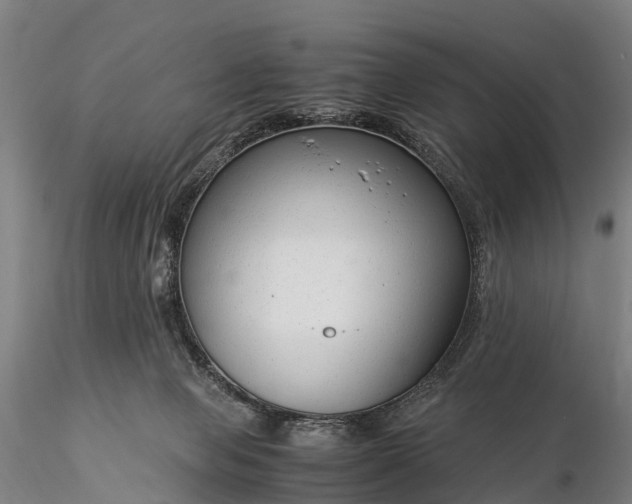 X0000116370077200912161447