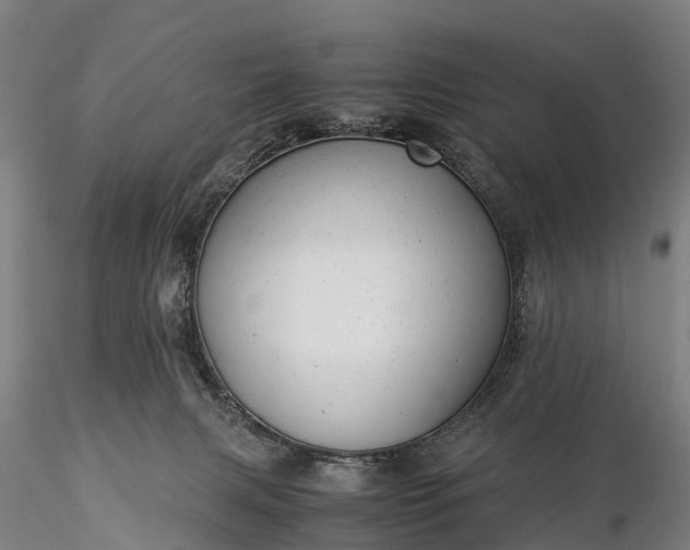 X0000116370079200912161447