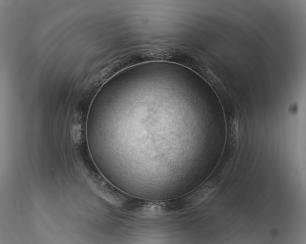 X0000116370080200912161447