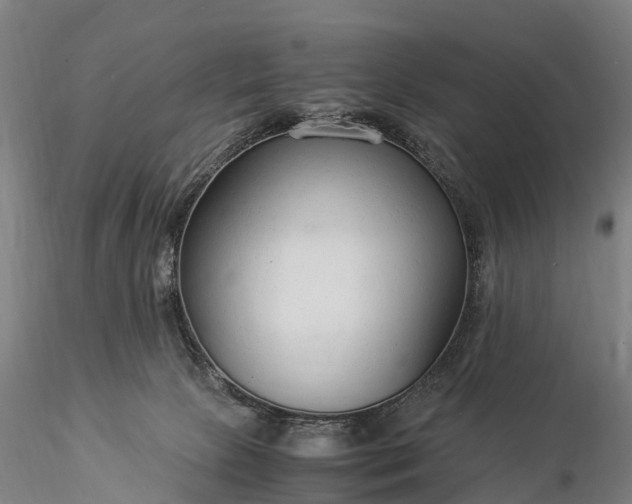 X0000116370081200912161447