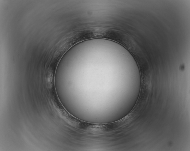 X0000116370082200912161447