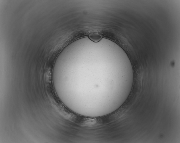 X0000116370083200912161448