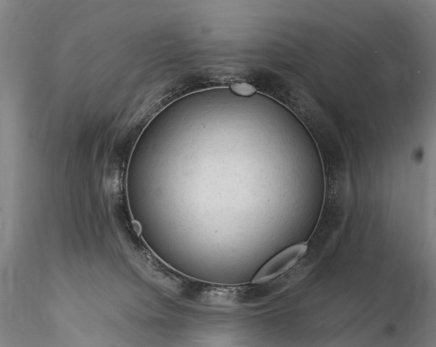 X0000116370084200912161448